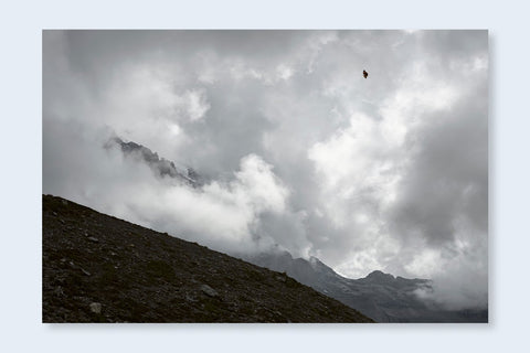 Lucas Foglia - Constant Bloom (signed)