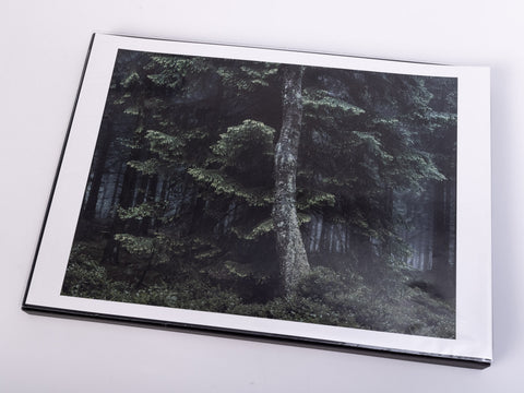 Michael Lange - Wald - Special Edition with Print