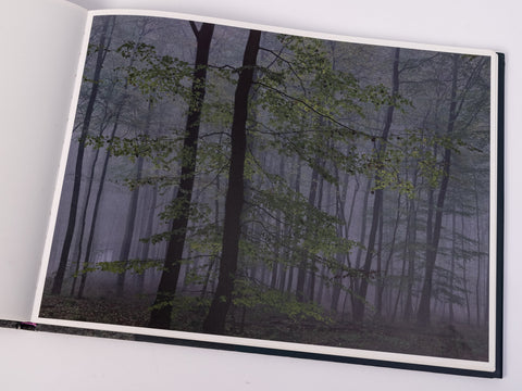 Michael Lange - Wald - Special Edition with Print