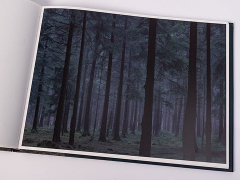 Michael Lange - Wald - Special Edition with Print