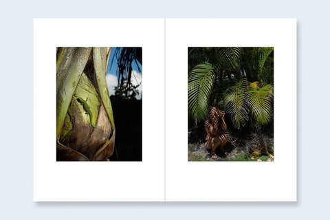 Lucas Foglia - One Picture Book Two #41 : Living on Lava