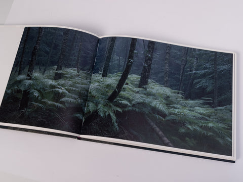 Michael Lange - Wald - Special Edition with Print