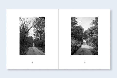Mark Steinmetz - ATL