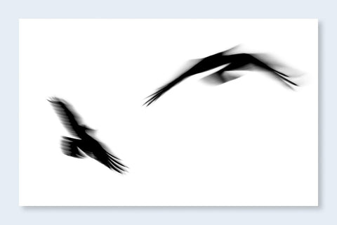 RJ Muna - Fleeting Gestures