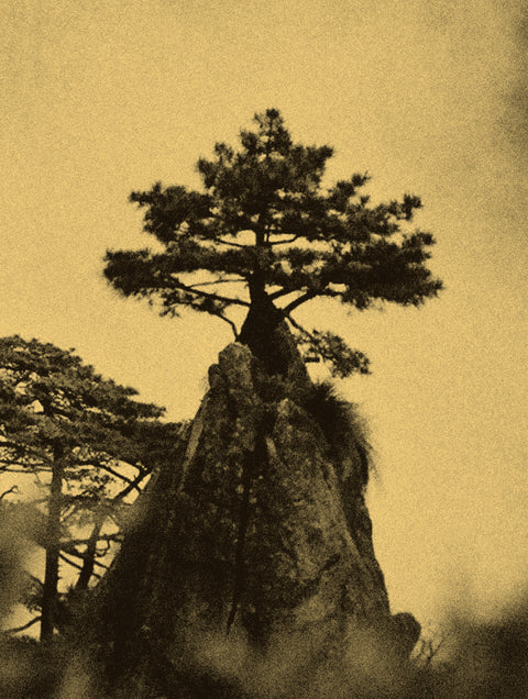 QIU Yangzi - Cloud and Stone (signed)