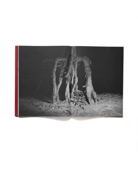 Tomasz Kawecki - In Praise of Shadow
