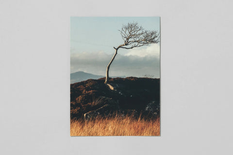 Robbie Lawrence - Northern Diary