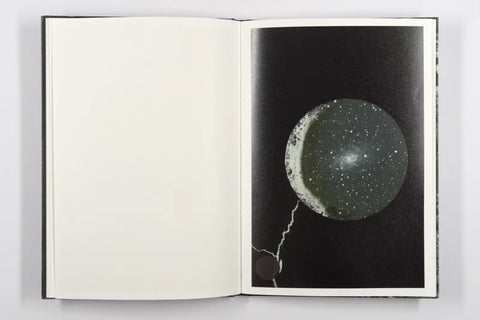 Luc Lebart - Mold is Beautiful