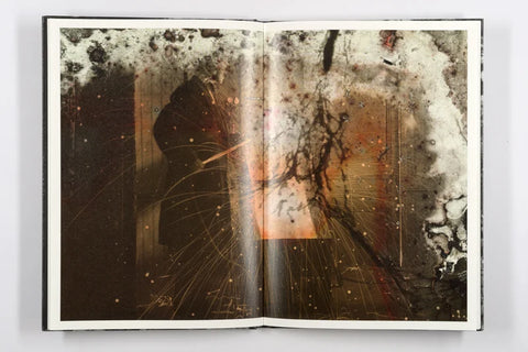 Luc Lebart - Mold is Beautiful