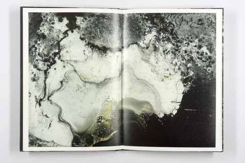 Luc Lebart - Mold is Beautiful