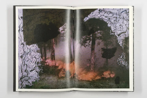 Luc Lebart - Mold is Beautiful