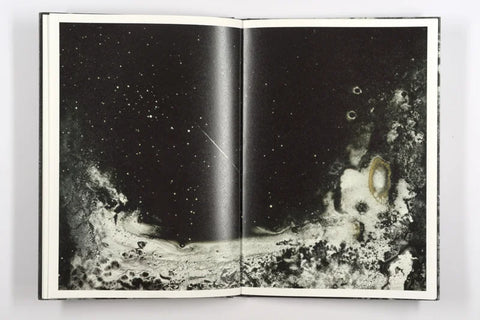 Luc Lebart - Mold is Beautiful