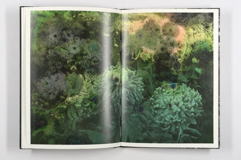 Luc Lebart - Mold is Beautiful