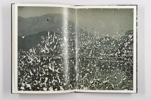 Luc Lebart - Mold is Beautiful