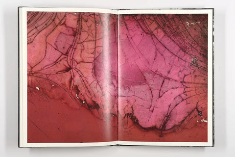 Luc Lebart - Mold is Beautiful