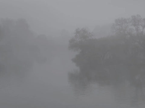Michael Lange - Fluss - Special Edition with Print