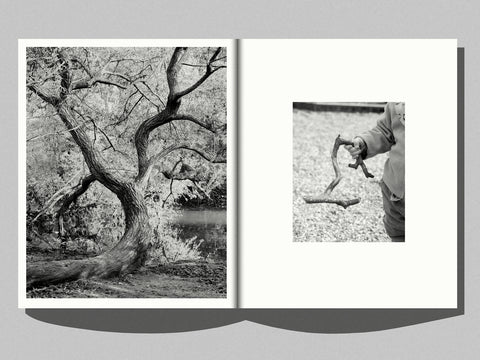 Sabine Hess - You Felt the Roots Grow (signed)