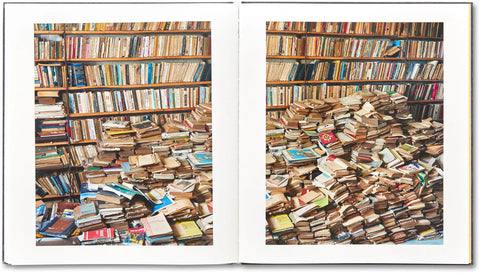 Alec Soth - I Know How Furiously Your Heart Is Beating