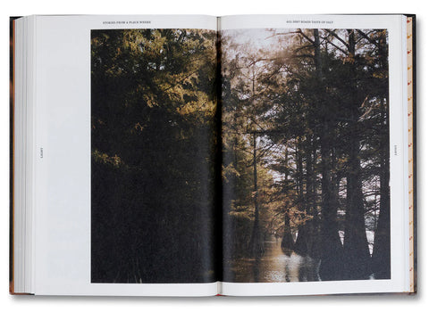 Raven Jackson - Stories From a Place Where All Dirt Roads Taste of Salt