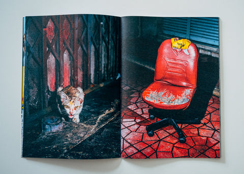 Nikita Teryoshin - Backyard Diaries Vol.2 (signed)