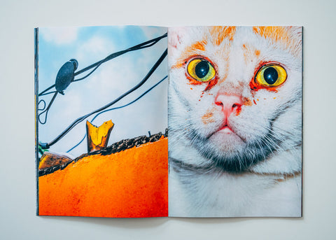 Nikita Teryoshin - Backyard Diaries Vol.2 (signed)