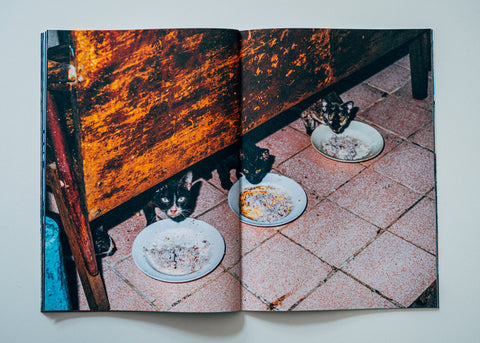 Nikita Teryoshin - Backyard Diaries Vol.2 (signed)