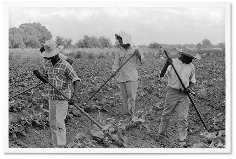 Doris Derby - A Civil Rights Journey