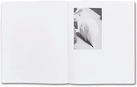 Fumi Ishino - Rowing a Tetrapod