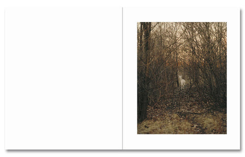 Gregory Halpern - King, Queen, Knave