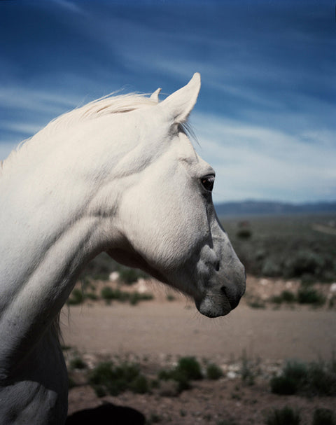 Gregory Halpern - ZZYZX (First edition, fifth printing)