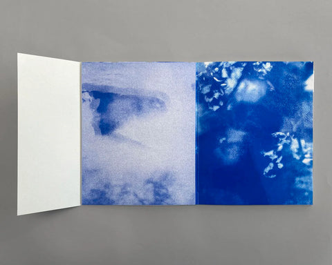 Izzy Leach - Idle Idyll