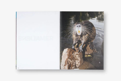 Erik Irmer - Aliens
