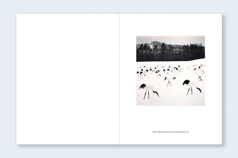 Michael Kenna - Japan | A Love Story