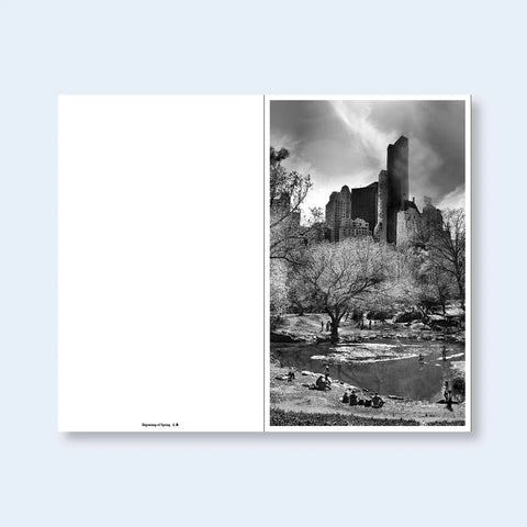Jeff Chien-Hsing Liao - Central Park New York