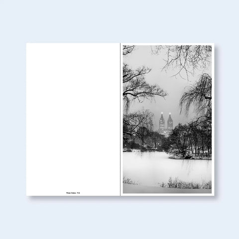 Jeff Chien-Hsing Liao - Central Park New York