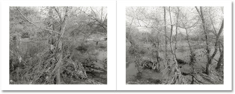Mark Ruwedel - Rivers Run Through It