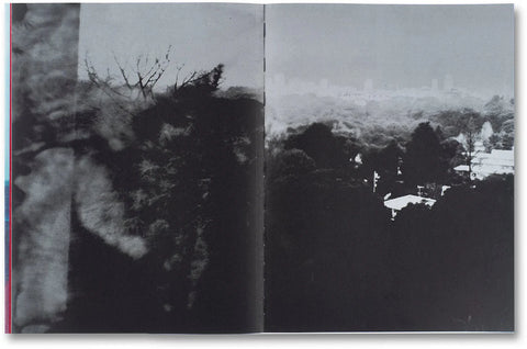Takashi Homma - The Narcissistic City