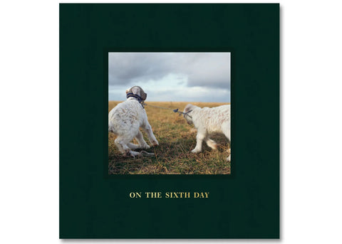 Alessandra Sanguinetti - On the Sixth Day