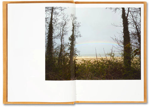 Paul Graham - Does Yellow Run Forever?
