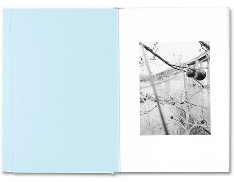 Raymond Meeks - The things of the world are true - Somersault Special Edition