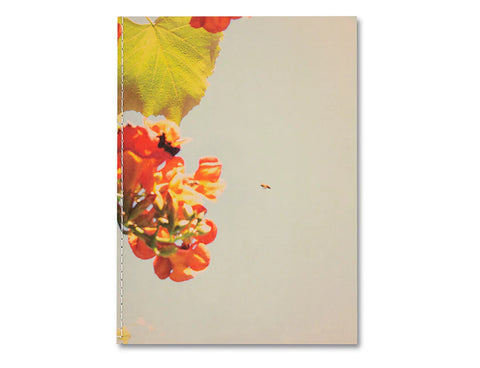 Raymond Meeks - The things of the world are true - Somersault Special Edition