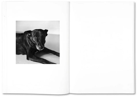 Moyra Davey & Peter Hujar - The Shabbiness of Beauty