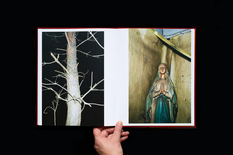 Ela Polkowska - Splinter