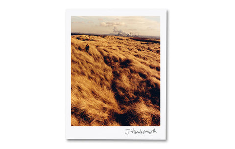 Jamie Hawkesworth - The British Isles - Special Edition