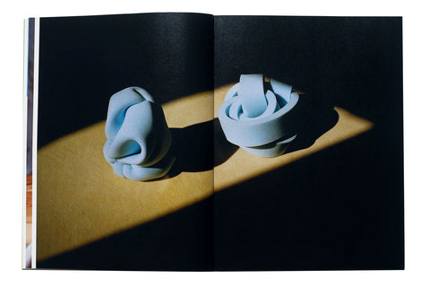 Tine Bek - The Vulgarity of Being Three-Dimensional