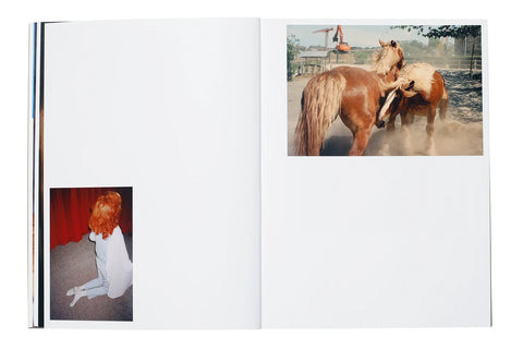 Tine Bek - The Vulgarity of Being Three-Dimensional