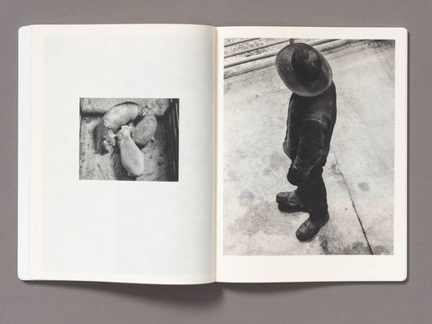 Vanessa Winship - Snow