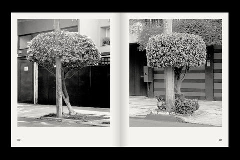 Rubén Montesinos - A Guide on Gardening