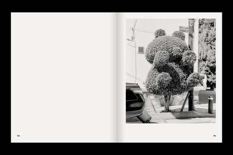 Rubén Montesinos - A Guide on Gardening