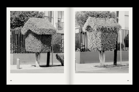 Rubén Montesinos - A Guide on Gardening